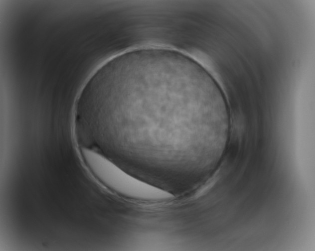 X0000089721390200707121423