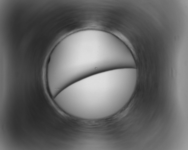 X0000089721391200707121423