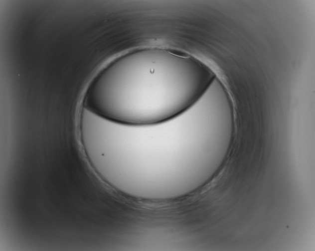 X0000089721392200707121423