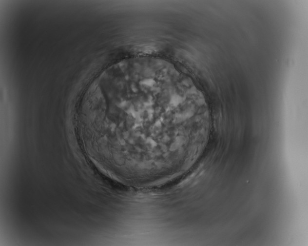 X0000089721393200707121422