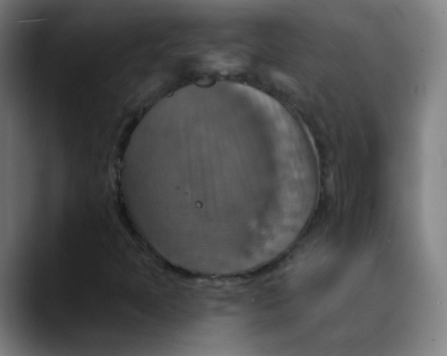 X0000089721397200707121422