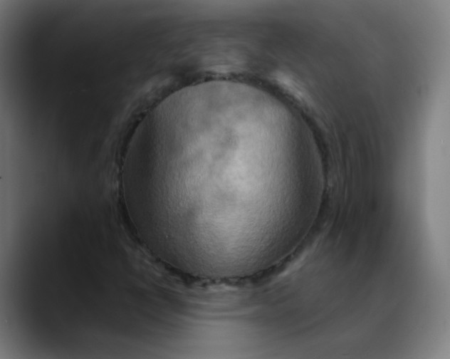 X0000089721398200707121422