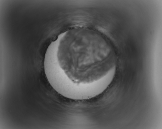 X0000089721399200707121422