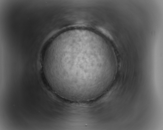 X0000089721400200707121422