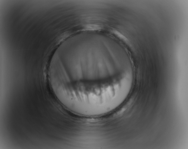 X0000089721401200707121422