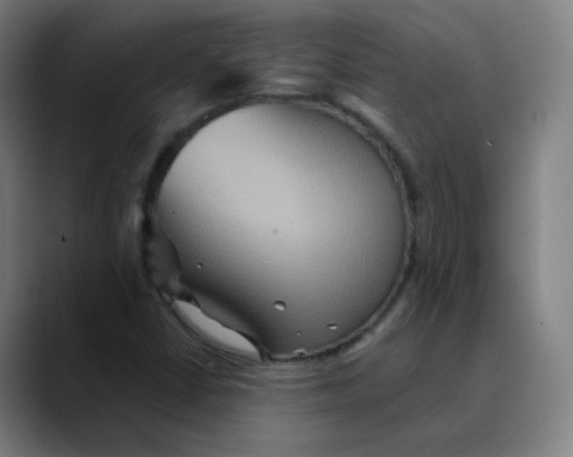 X0000089721402200707121422