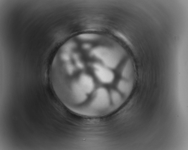 X0000089721403200707121422