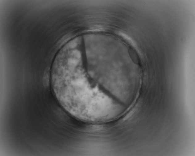 X0000089721409200707121422