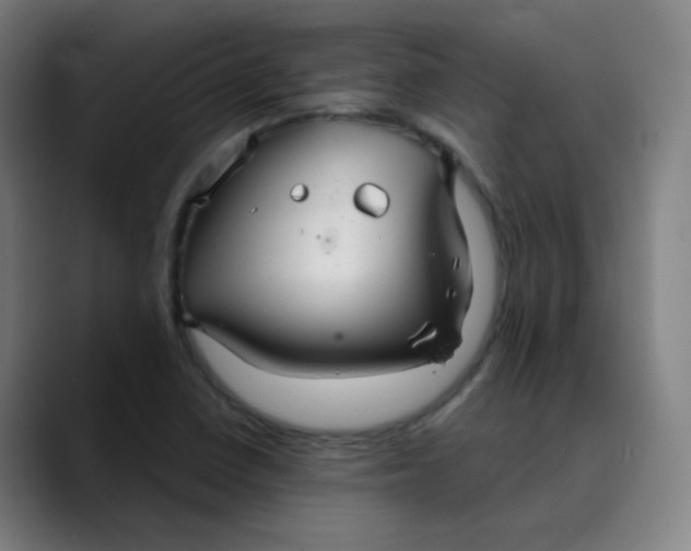 X0000089721410200707121422