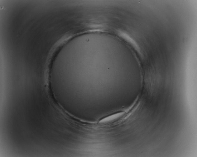 X0000089721411200707121422