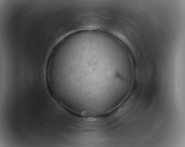 X0000089721412200707121422