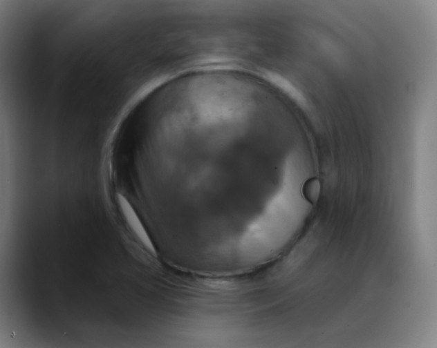 X0000089721413200707121422