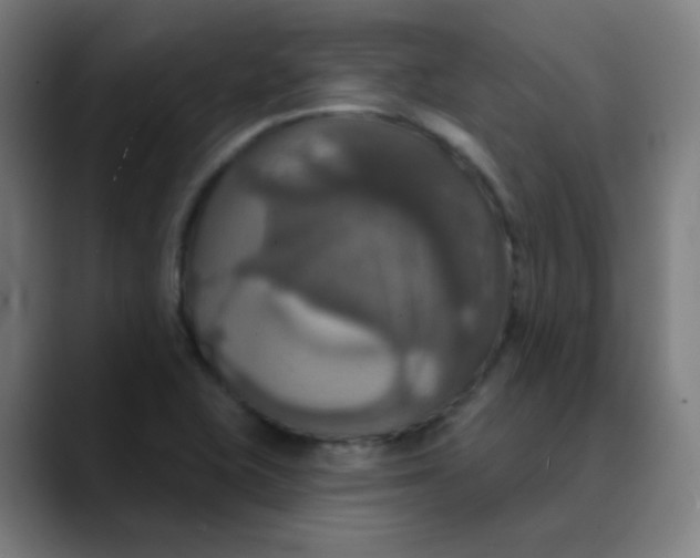 X0000089721415200707121422