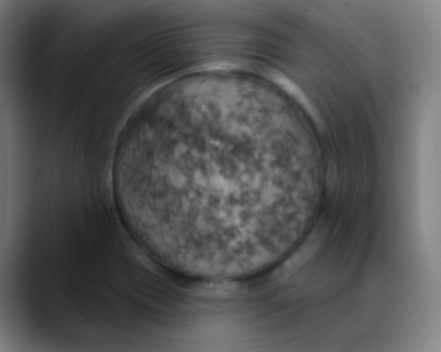 X0000089721417200707121422