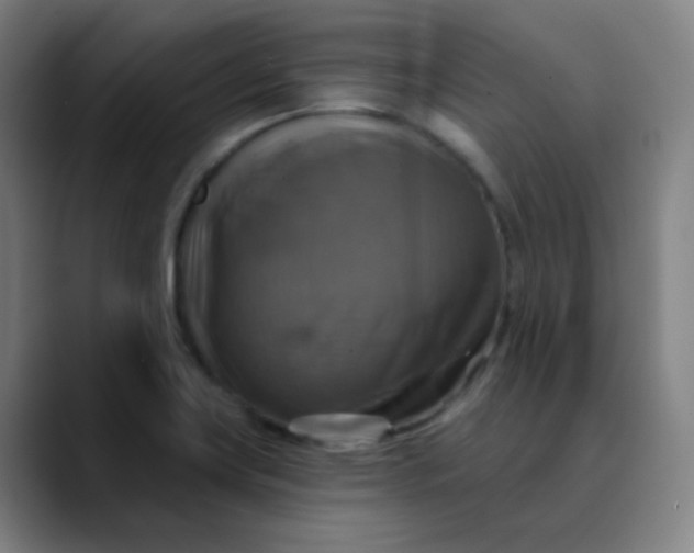 X0000089721419200707121422