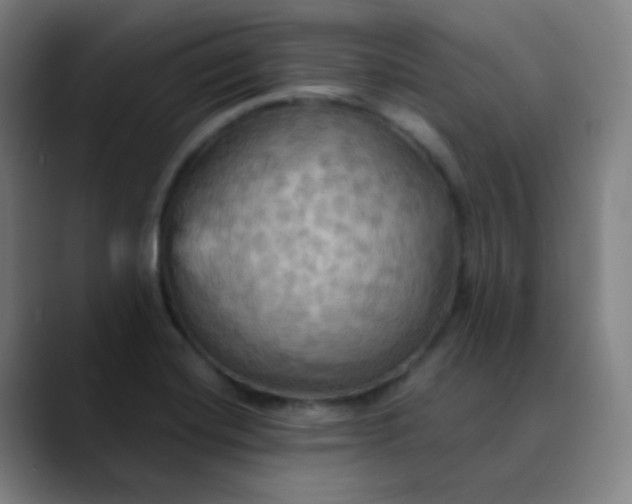 X0000089721420200707121422