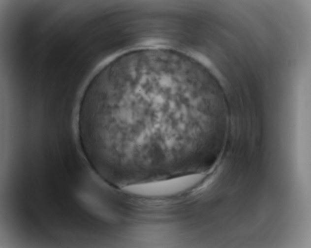 X0000089721421200707121422