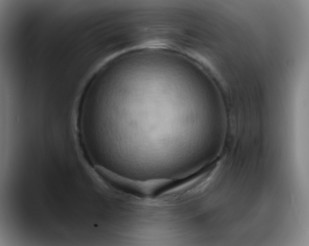 X0000089721422200707121422