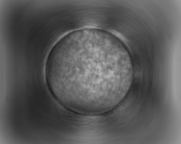 X0000089721423200707121422