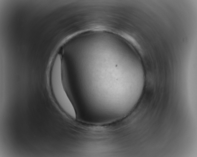 X0000089721424200707121423