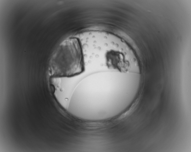 X0000089721425200707121423