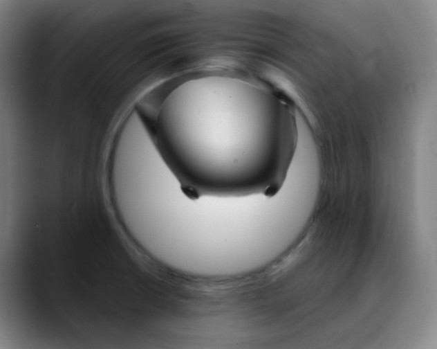 X0000089721426200707121423