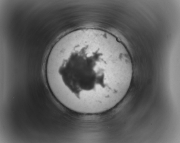 X0000089721429200707121423