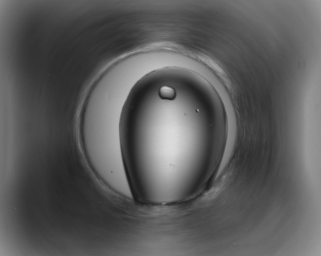 X0000089721430200707121423