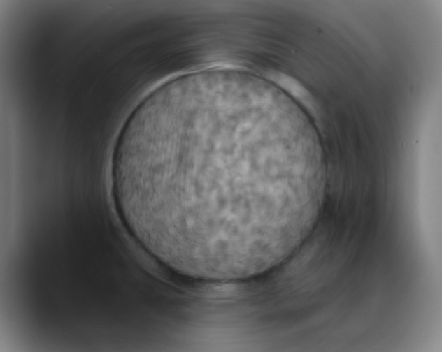 X0000089721431200707121423