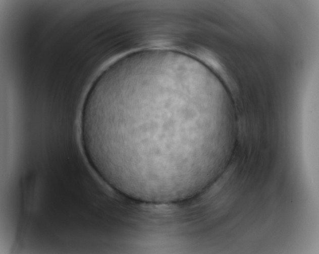 X0000089721432200707121423