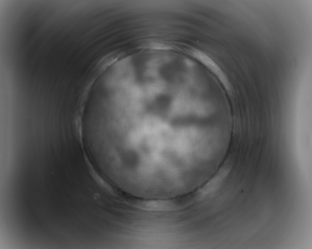 X0000089721433200707121423