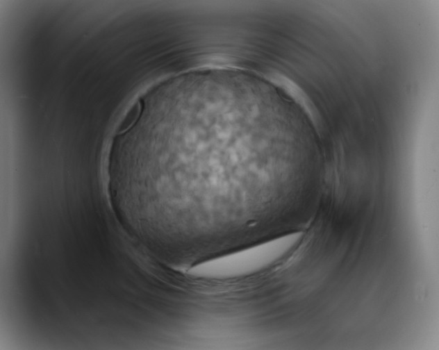 X0000089721435200707121423