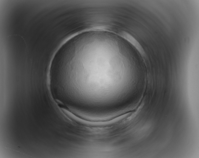 X0000089721436200707121423