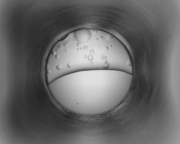 X0000089721437200707121423