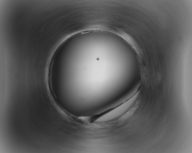 X0000089721438200707121423