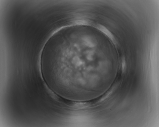 X0000089721439200707121423