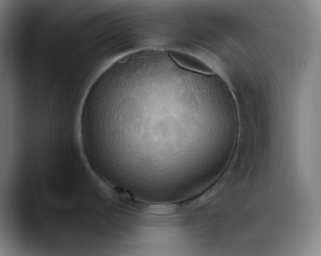 X0000089721440200707121423