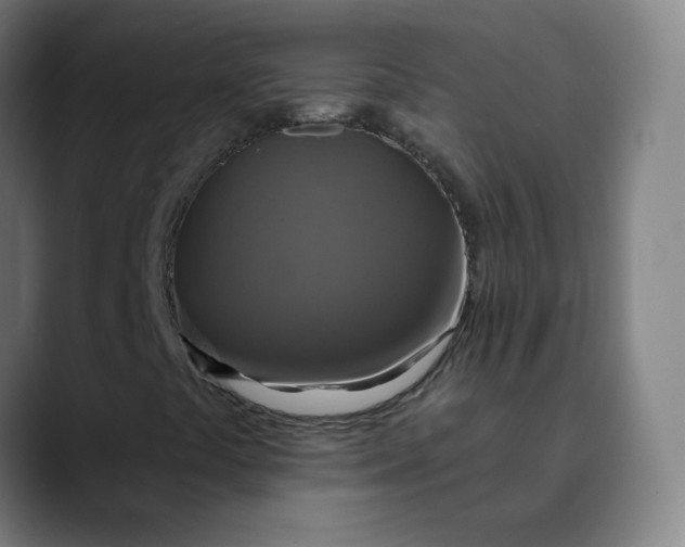 X0000089721441200707121422