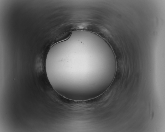 X0000089721442200707121422