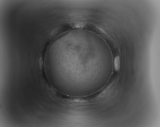 X0000089721443200707121422