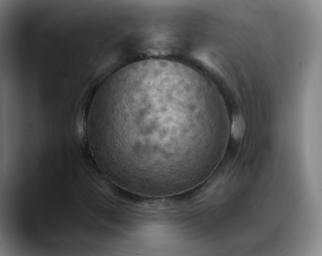 X0000089721444200707121422