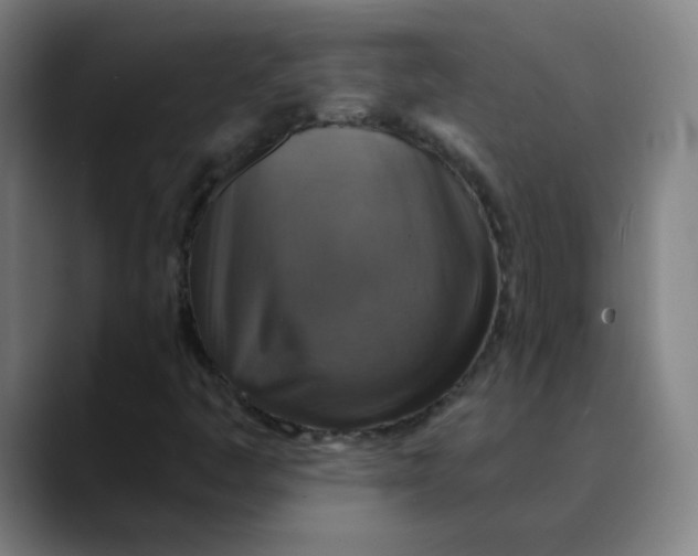 X0000089721445200707121422