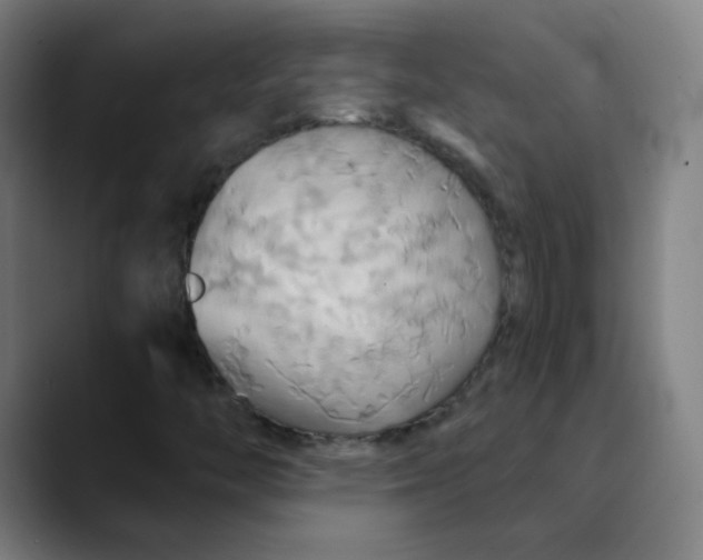 X0000089721446200707121422