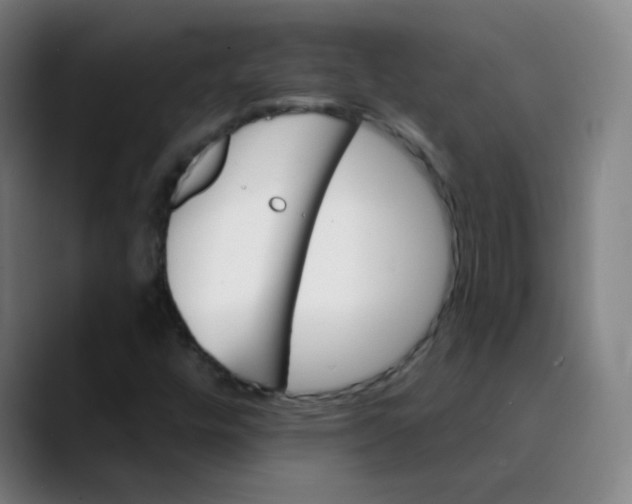 X0000089721448200707121422