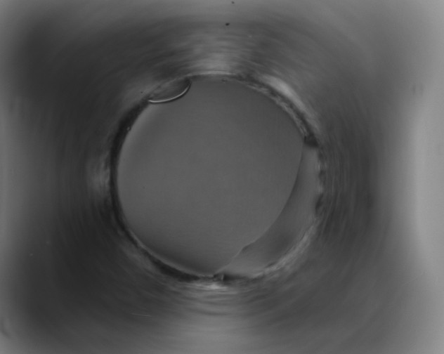 X0000089721450200707121422