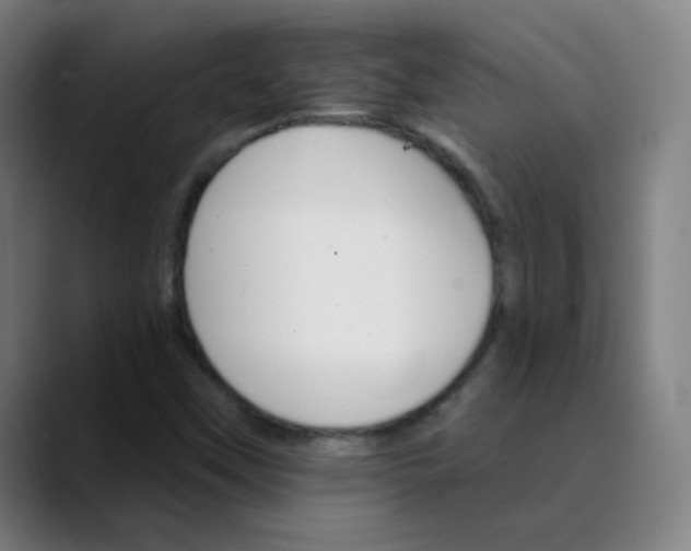 X0000089721451200707121422