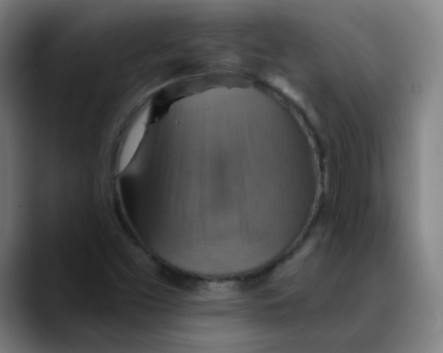 X0000089721453200707121422