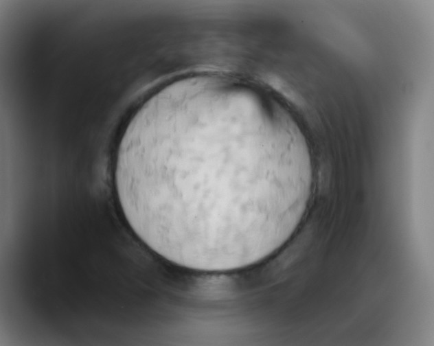 X0000089721454200707121422