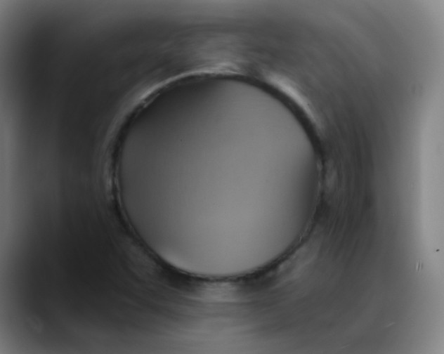 X0000089721455200707121422