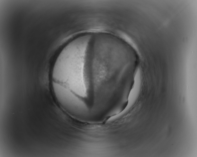 X0000089721456200707121422